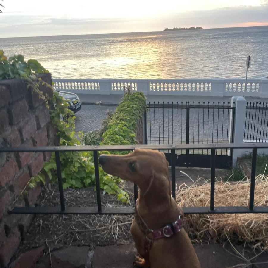 Terraza Sacramento - Atardecer En El Barrio Historico Villa Colonia del Sacramento Dış mekan fotoğraf